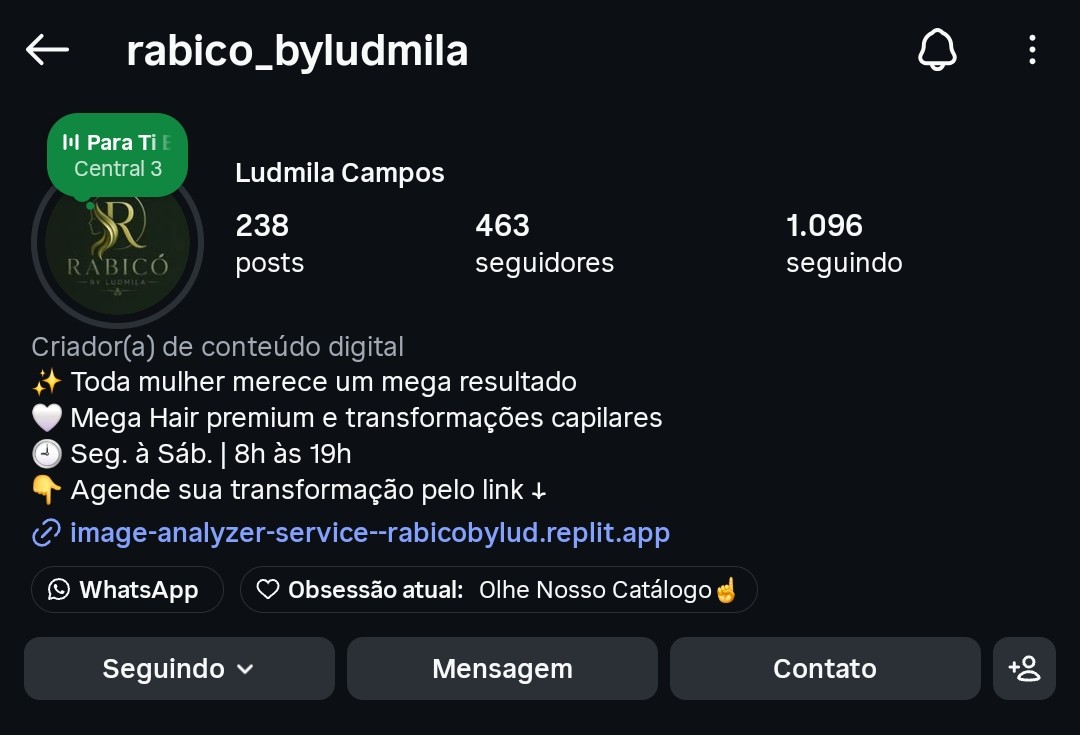 Perfil do Instagram @rabico_byludmila com identidade visual e bio estruturadas pela ELYKA